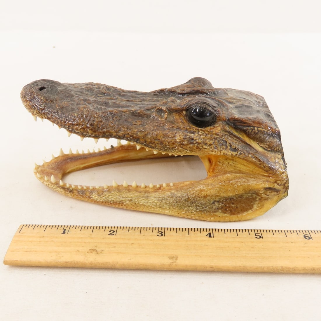 Crosman Repeater BB Pistol with BB's, Pellets - 12