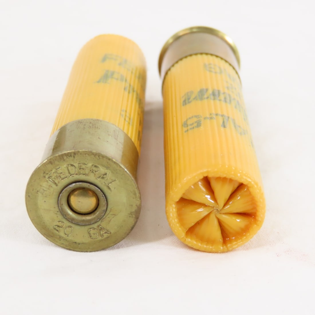 Ammunition: 70 Rounds 270 WIN and 6 Rounds 20 GA - 19