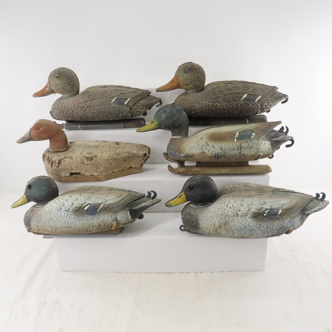 12 Sport Plast Duck Decoys, Hen & Drake Mallards - 3