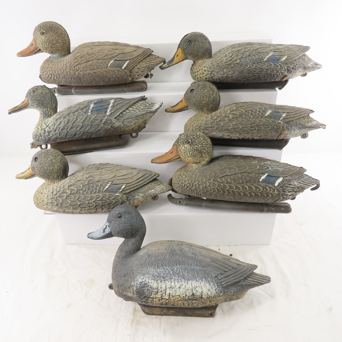 12 Sport Plast Duck Decoys, Hen & Drake Mallards - 7