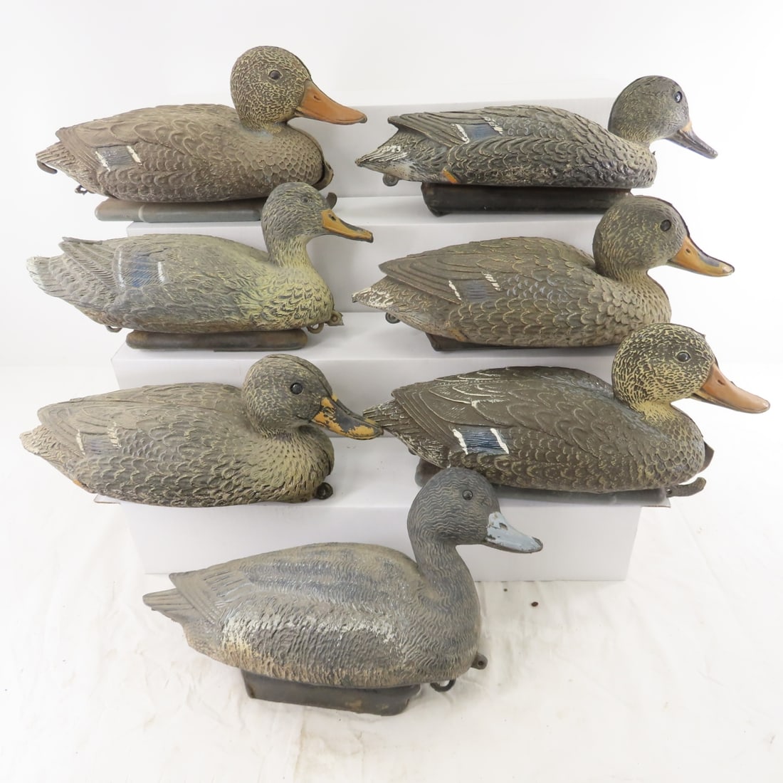 12 Sport Plast Duck Decoys, Hen & Drake Mallards - 8