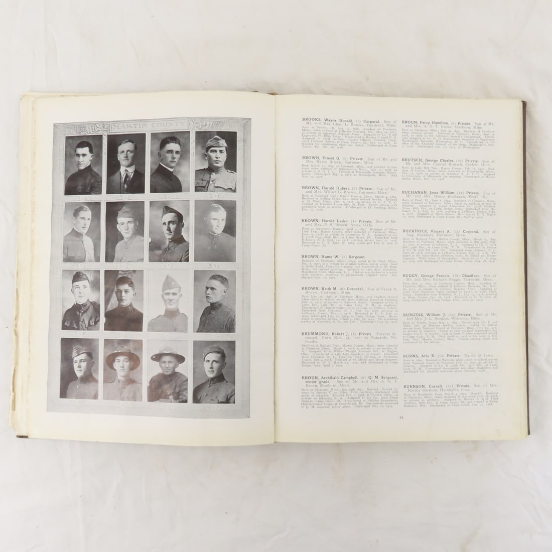 Martin County MN in The War, 1917-1919, Book - 10