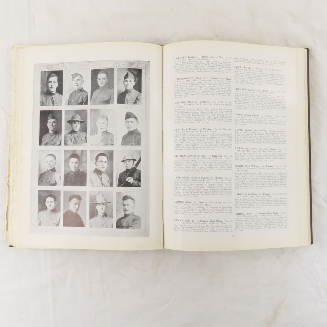 Martin County MN in The War, 1917-1919, Book - 12