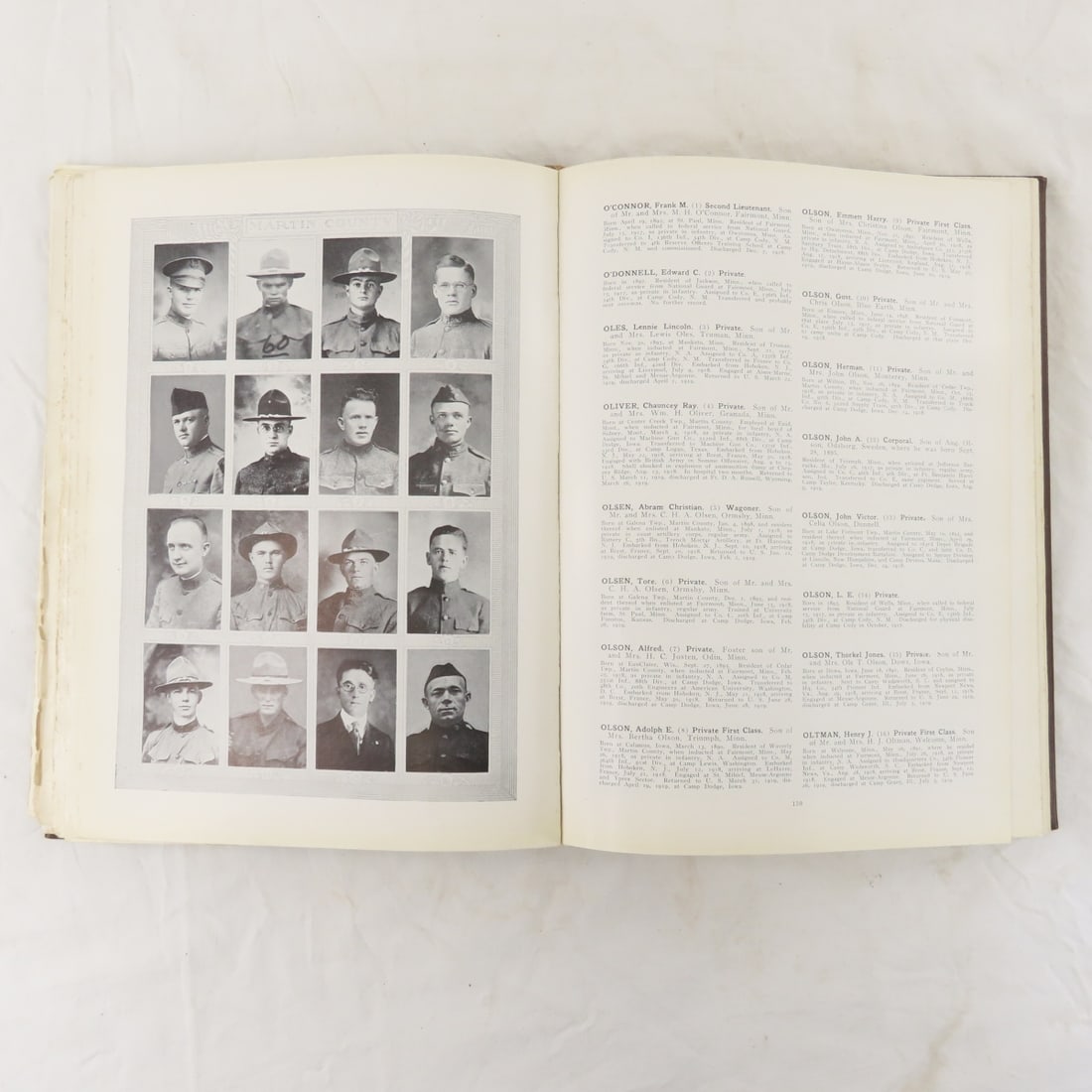 Martin County MN in The War, 1917-1919, Book - 13