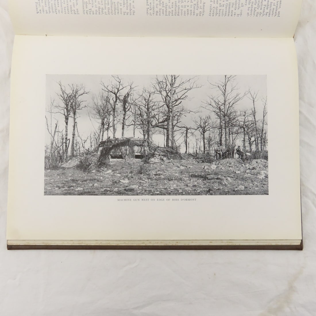 Martin County MN in The War, 1917-1919, Book - 17