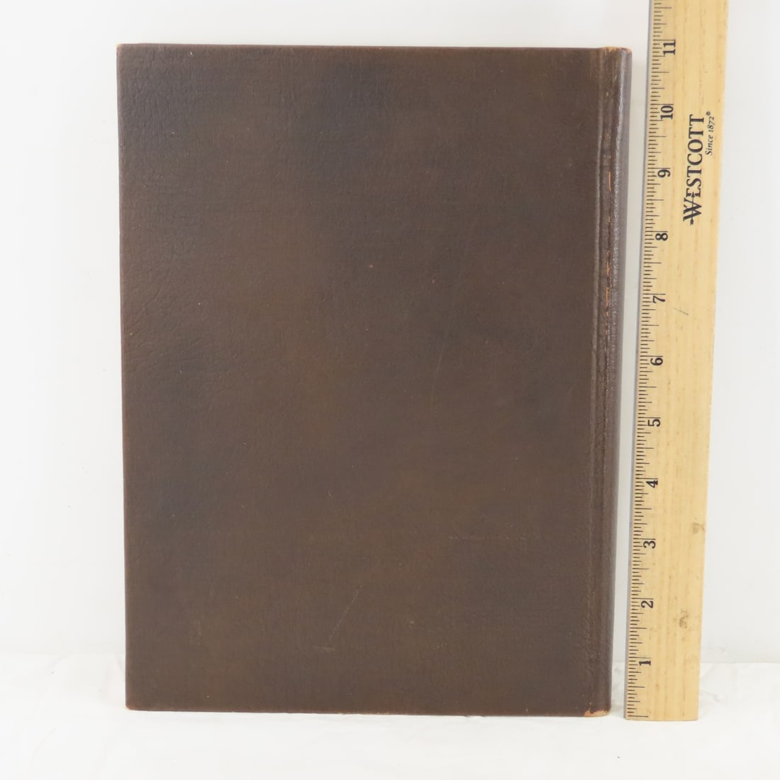 Martin County MN in The War, 1917-1919, Book - 18