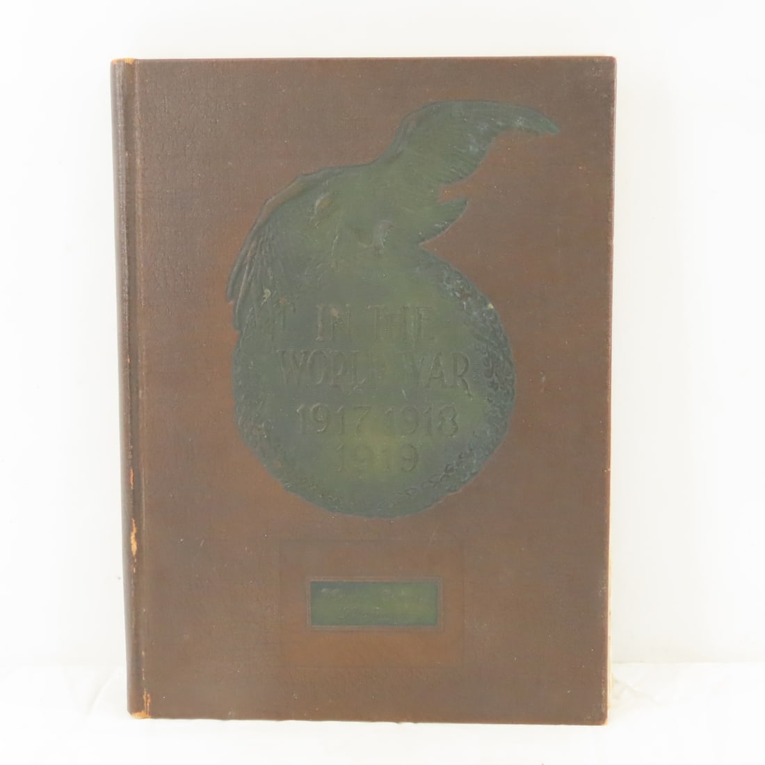 Martin County MN in The War, 1917-1919, Book (1 of 19)