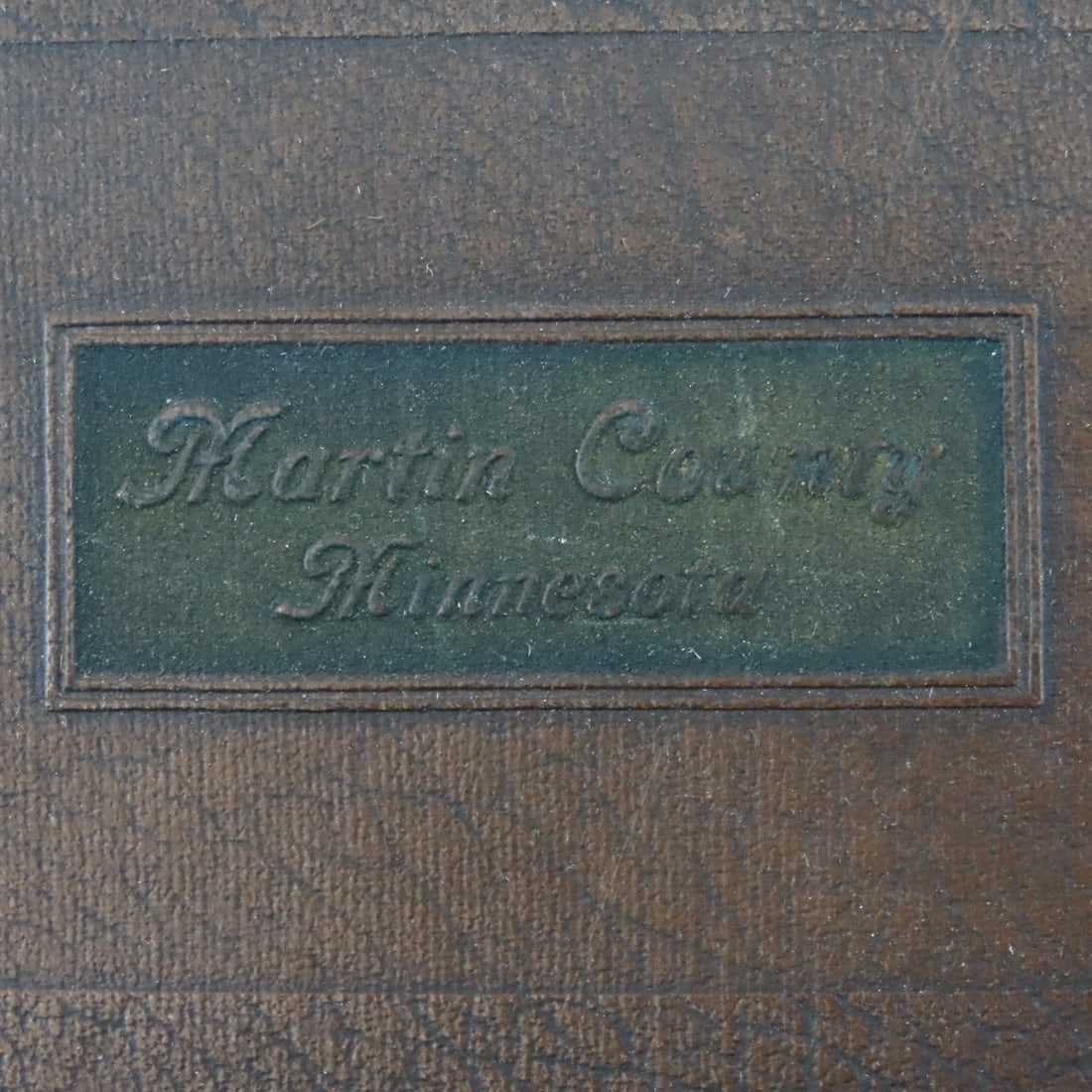 Martin County MN in The War, 1917-1919, Book - 3