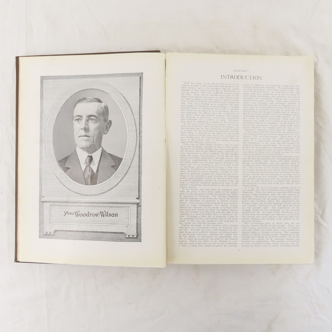 Martin County MN in The War, 1917-1919, Book - 7