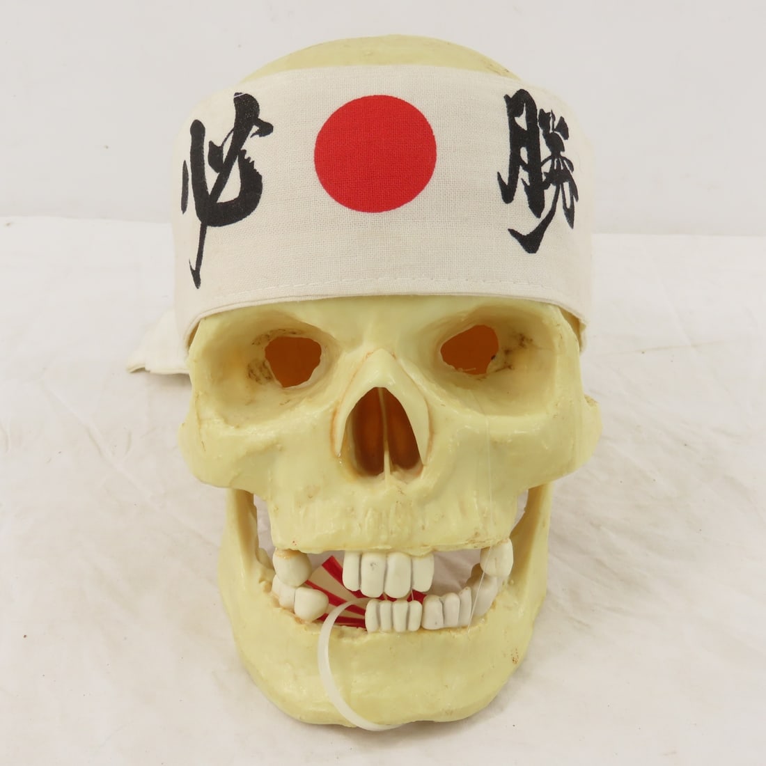 2 Resin Human Skulls Shark Jaw, Hachimaki Headband - 7