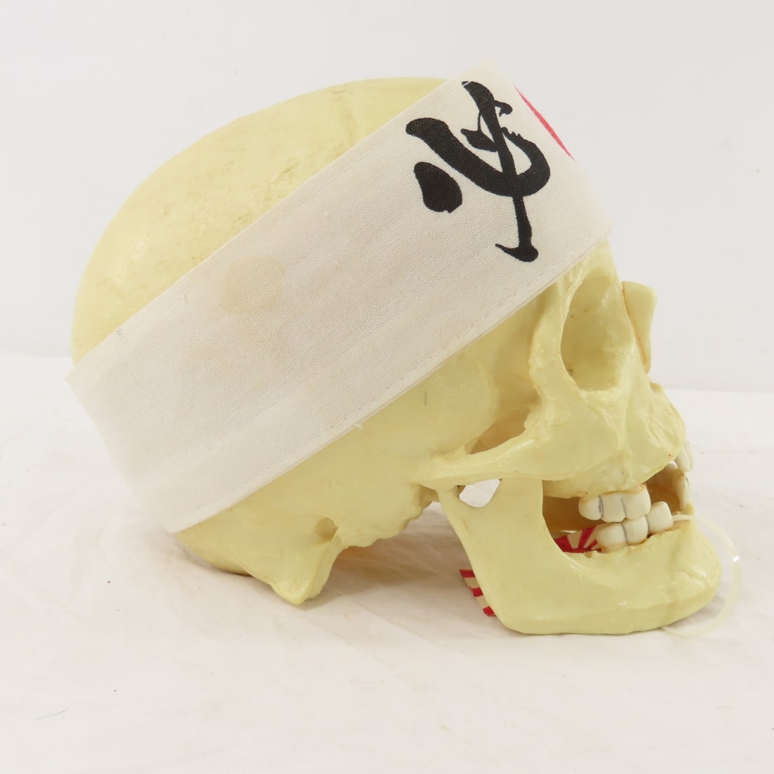 2 Resin Human Skulls Shark Jaw, Hachimaki Headband - 8