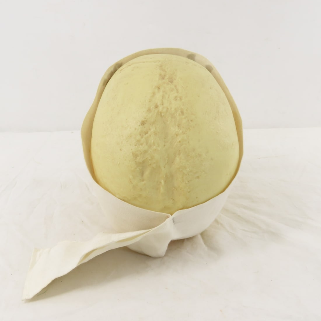 2 Resin Human Skulls Shark Jaw, Hachimaki Headband - 9