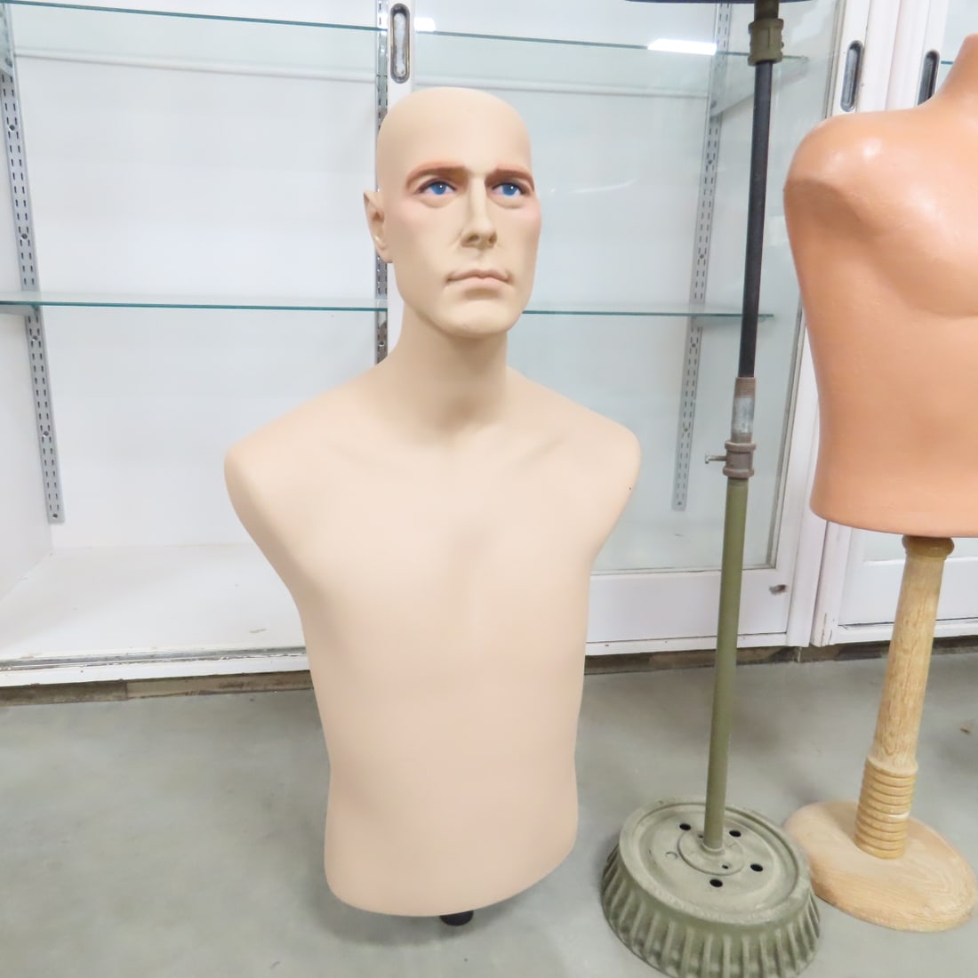 5 Mannequin Torsos, With & Without Stands - 2