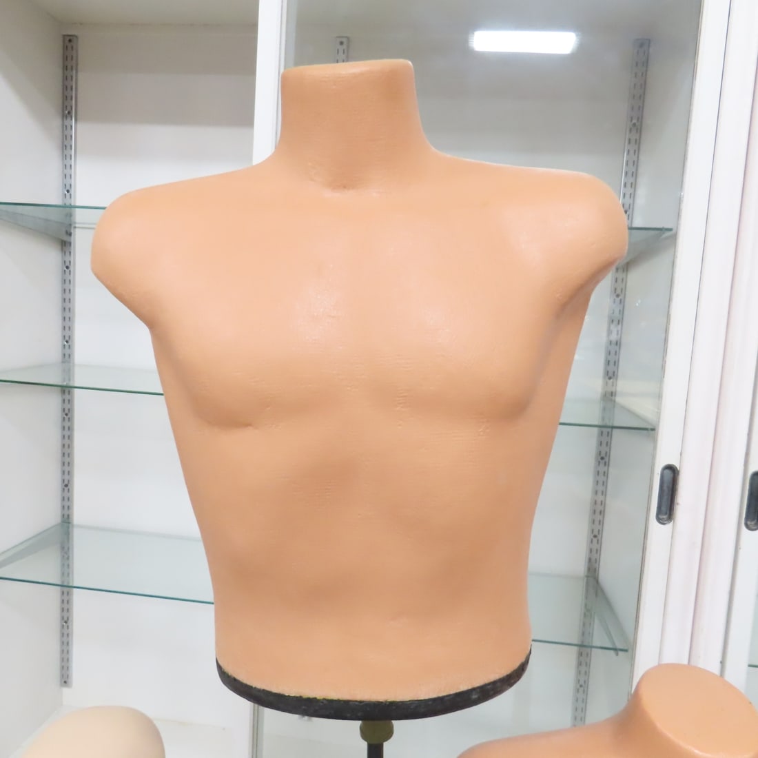 5 Mannequin Torsos, With & Without Stands - 3