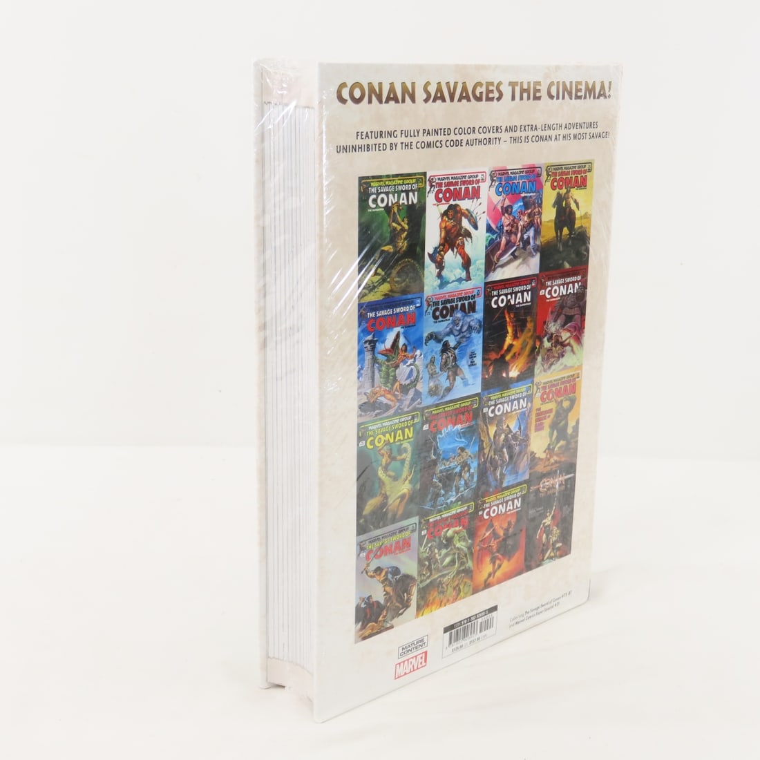 Marvel Omnibus The Savage Sword of Conan Vol 6 - 4