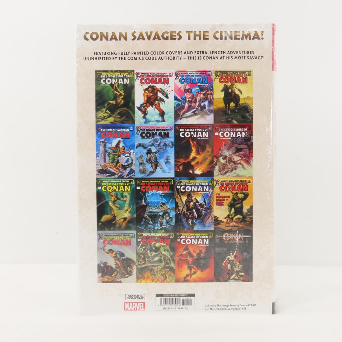 Marvel Omnibus The Savage Sword of Conan Vol 6 - 5