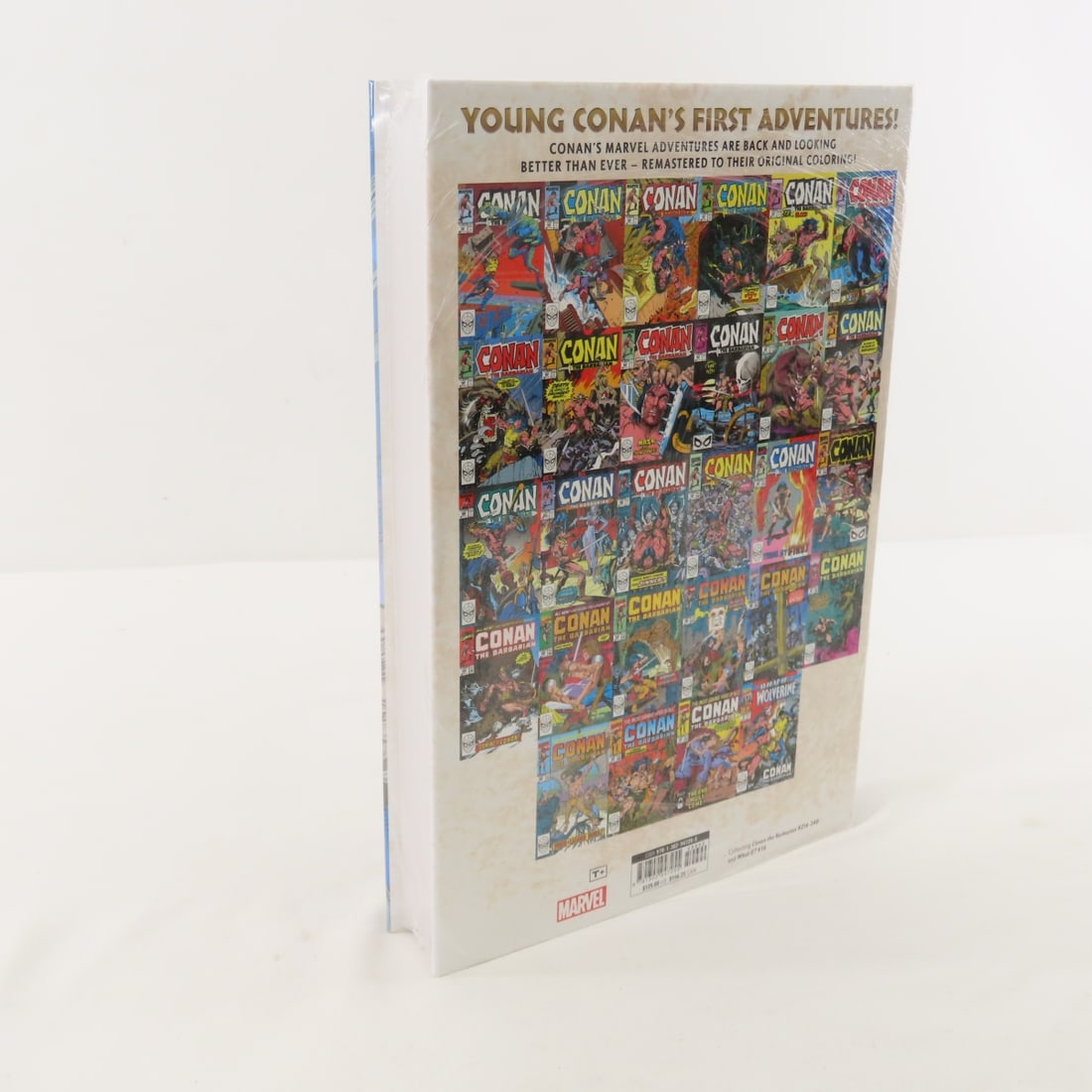 Marvel Omnibus Conan The Barbarian Vol 9 Sealed HC - 4