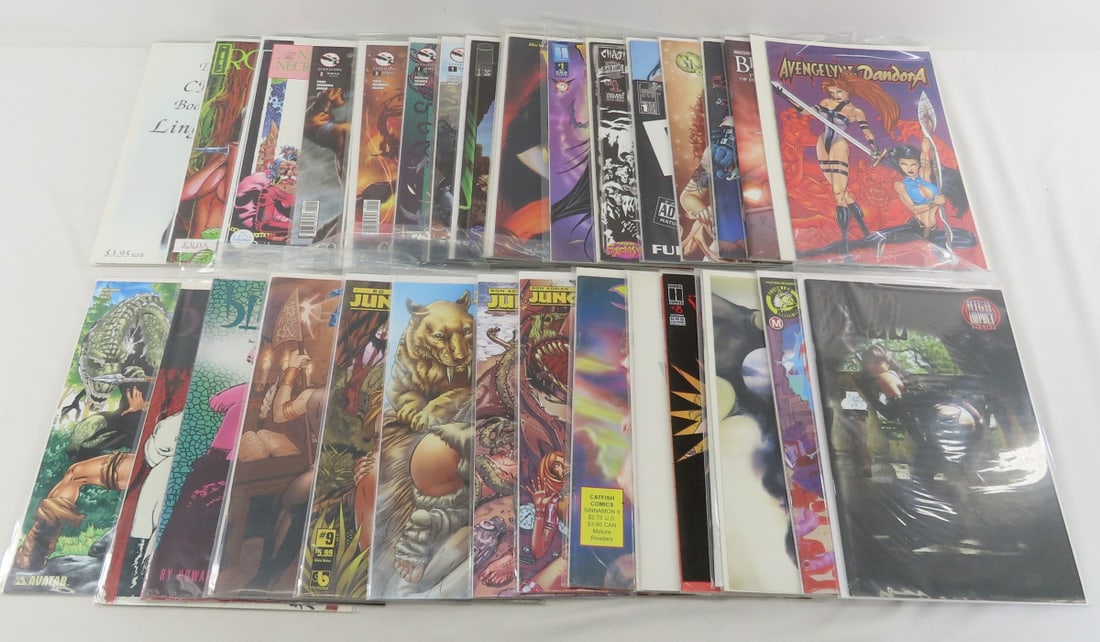 30+ Adult Comic Books - Vampirella & Others: 30+ Adult Comic Books - Vampirella & Others - Lot size: 11x7x3.5", 6 lbs. Photos are part of description. Max of 20 photos are shown in Live Auctioneers, all are shown on Proxibid and