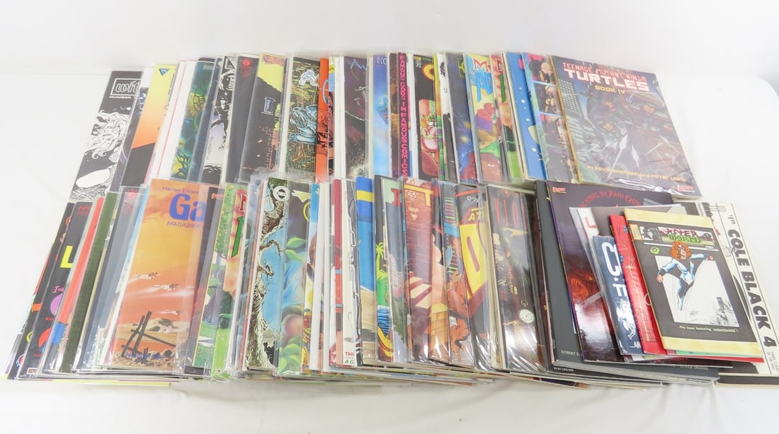 Indy & Adult Comic Magazines: Indy & Adult Comic Magazines - Lot size: 16x12x10", 35 lbs Photos are part of description. Max of 20 photos are shown in Live Auctioneers, all are shown on Proxibid and bid.anewdayauctions.com. Please