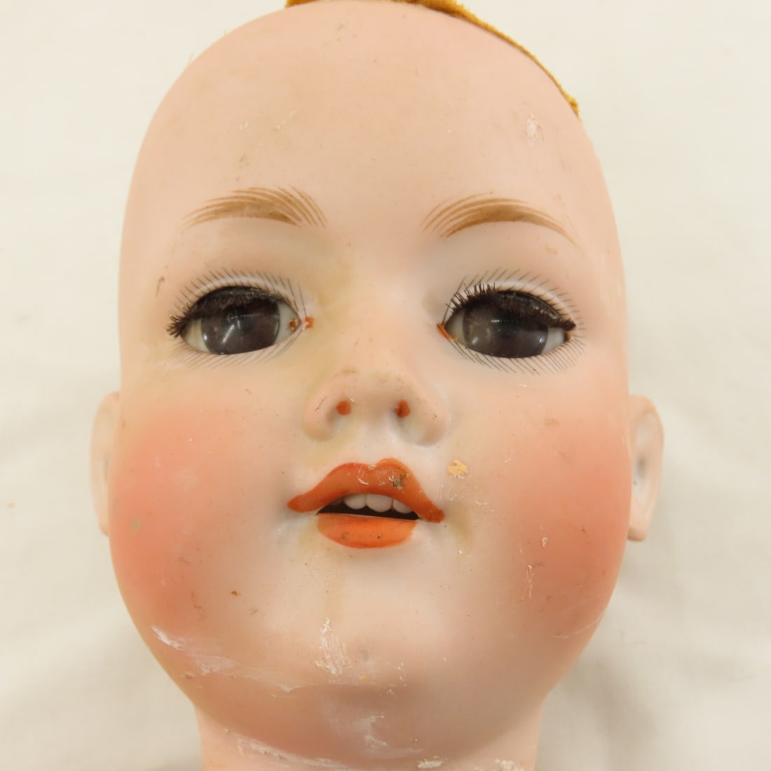 5 Antique Bisque Heads and 2 Cloth Doll Bodies - 6