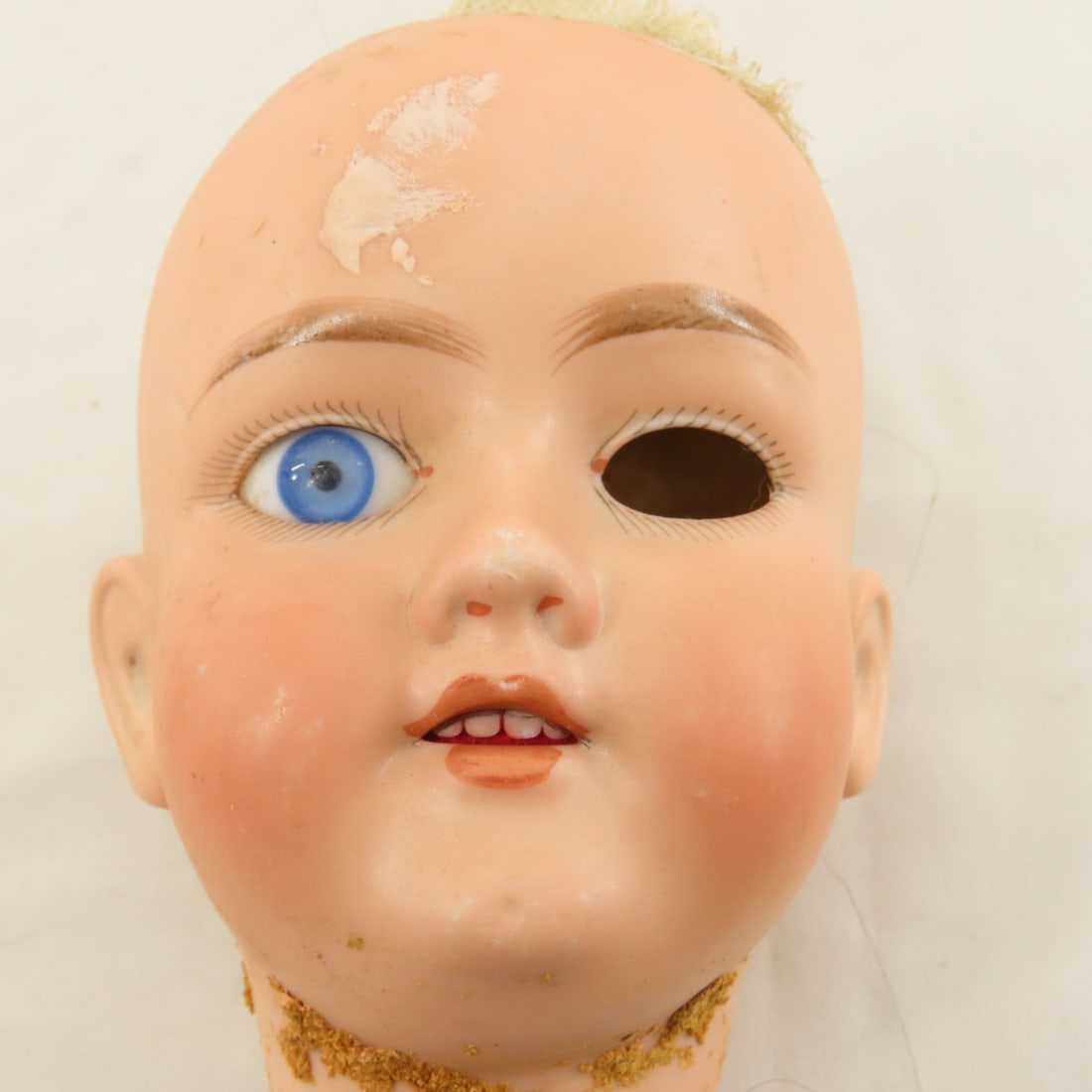 5 Antique Bisque Heads and 2 Cloth Doll Bodies - 8