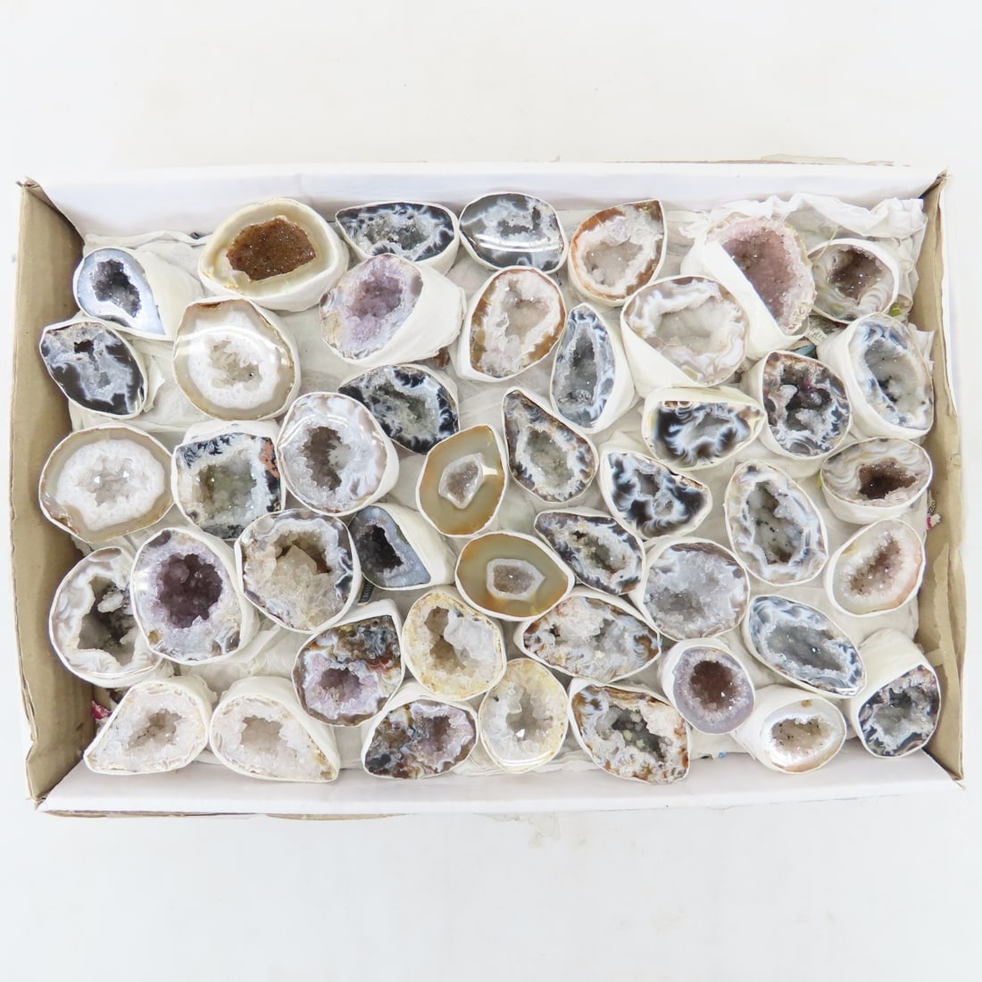 4 lb Collection of Small Cut Geodes: 4 lb Collection of Small Cut Geodes - Lot Size: 12 x 9 x 2", 4 lbs Photos are part of description. (Live Auctioneers only shows a max of 20 photos). Please ask questions and read terms & conditions