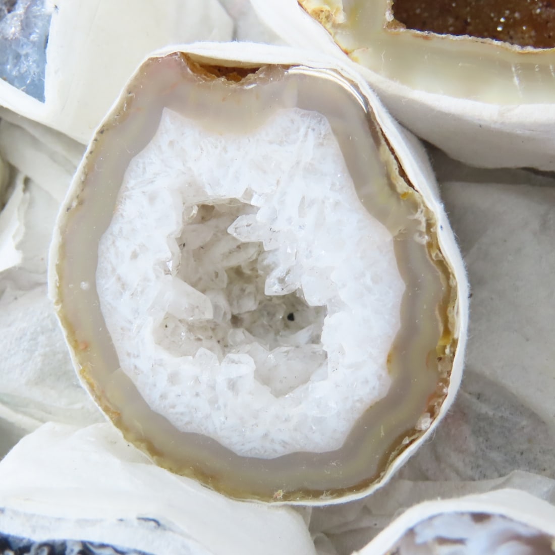 4 lb Collection of Small Cut Geodes - 4