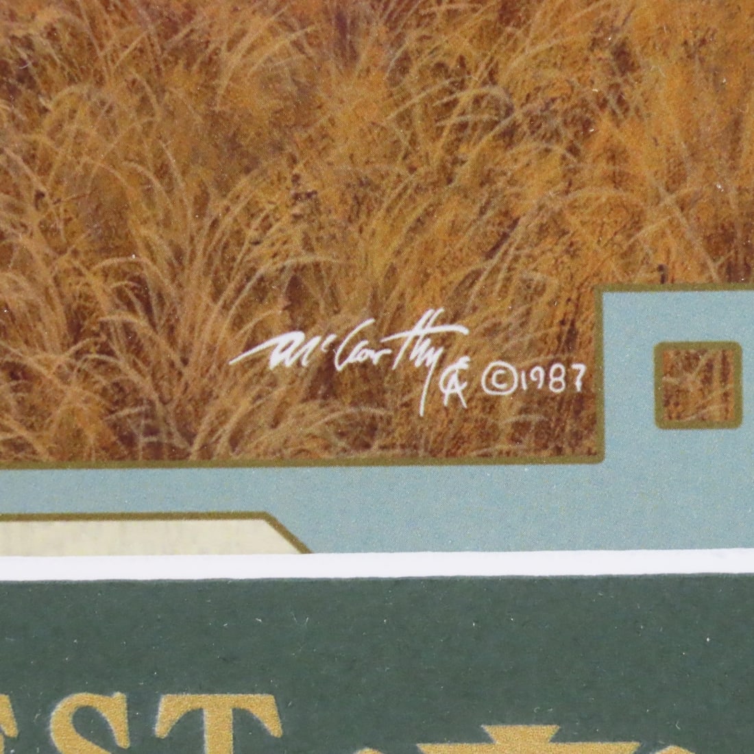 Framed Art, Brothel Coins & Indian Head Nickels - 4