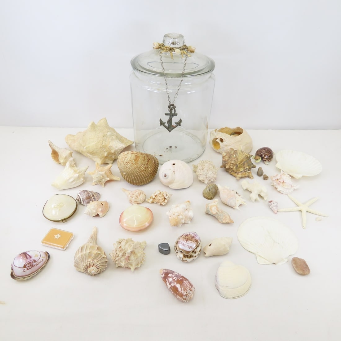 Glass Biscuit Jar Full of Sea Shells with Bracelet (1 of 19)