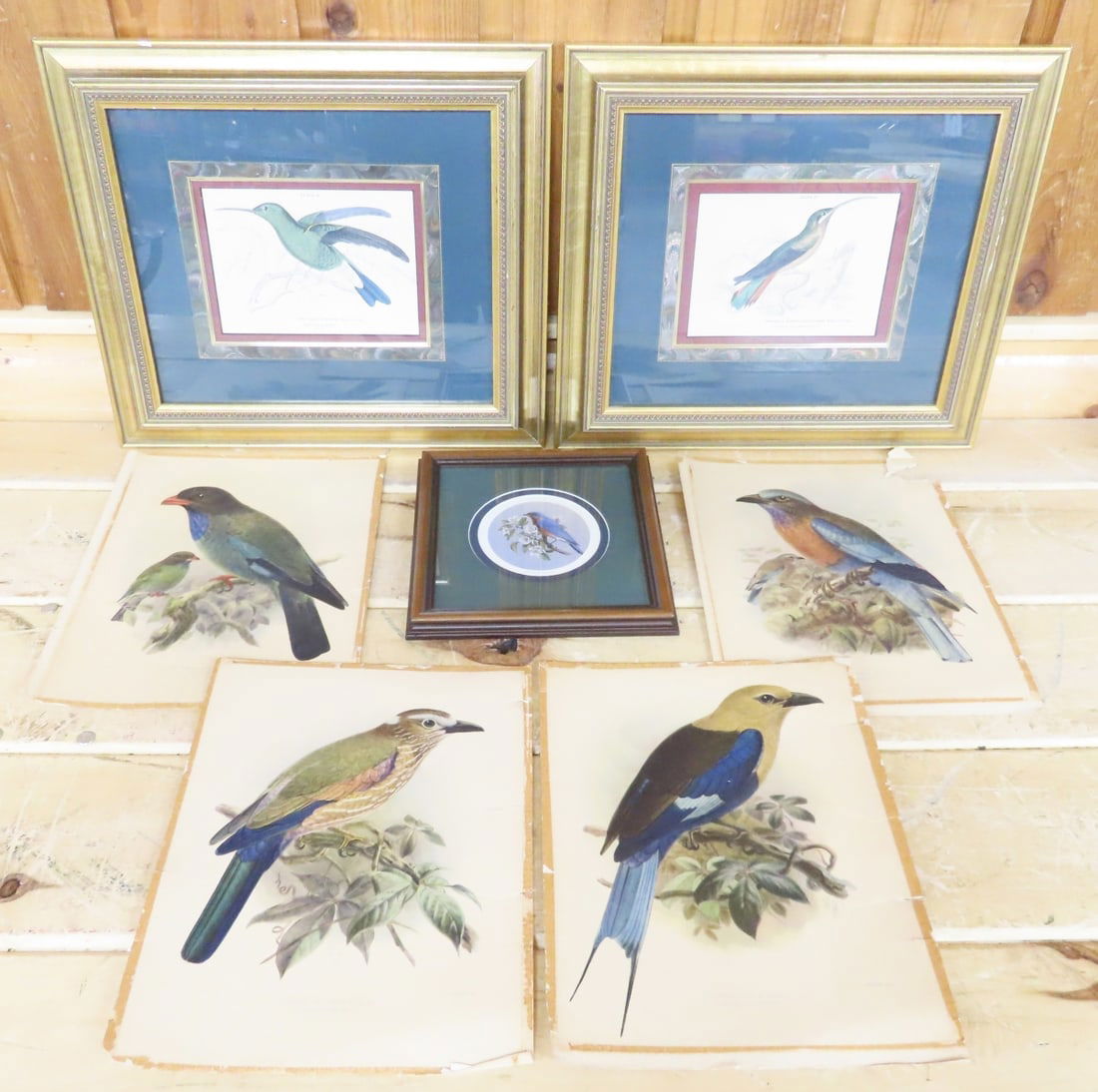 Vintage Framed Lizars SC Bird Prints & More (1 of 16)