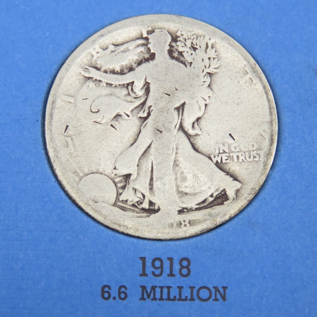 8 Walking Liberty Silver Half Dollars in books - 3