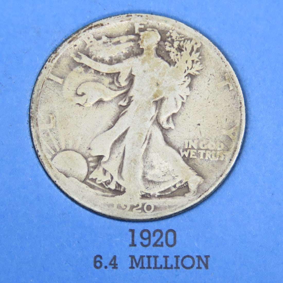 8 Walking Liberty Silver Half Dollars in books - 4