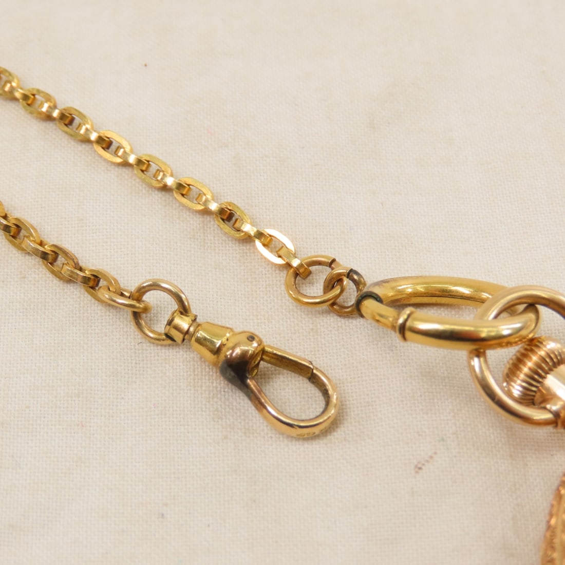 1889 American Waltham Co Pocket watch With Chain - 9