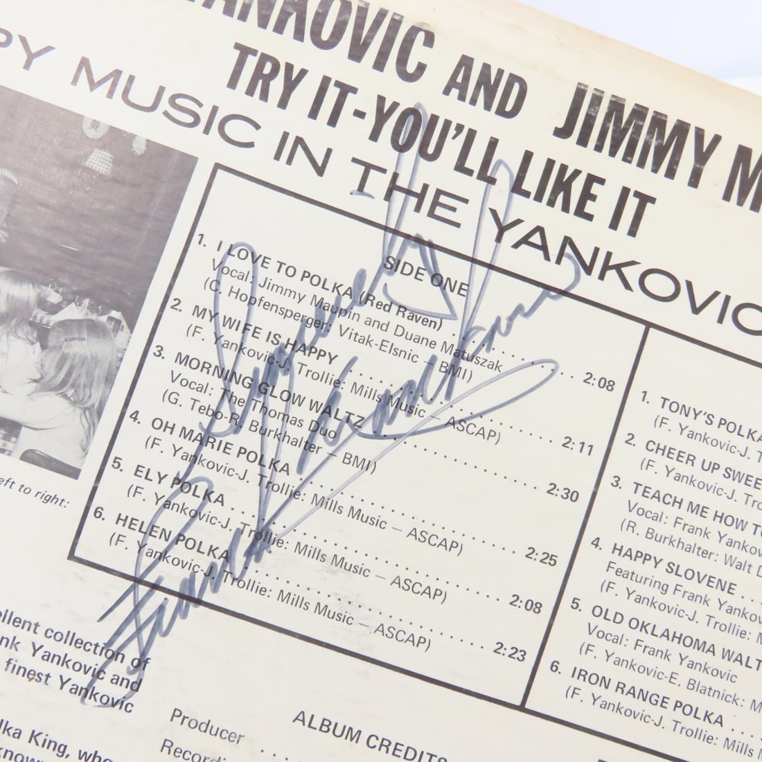 20+ 33 rpm Polka & MN Locally Recorded Albums - 14