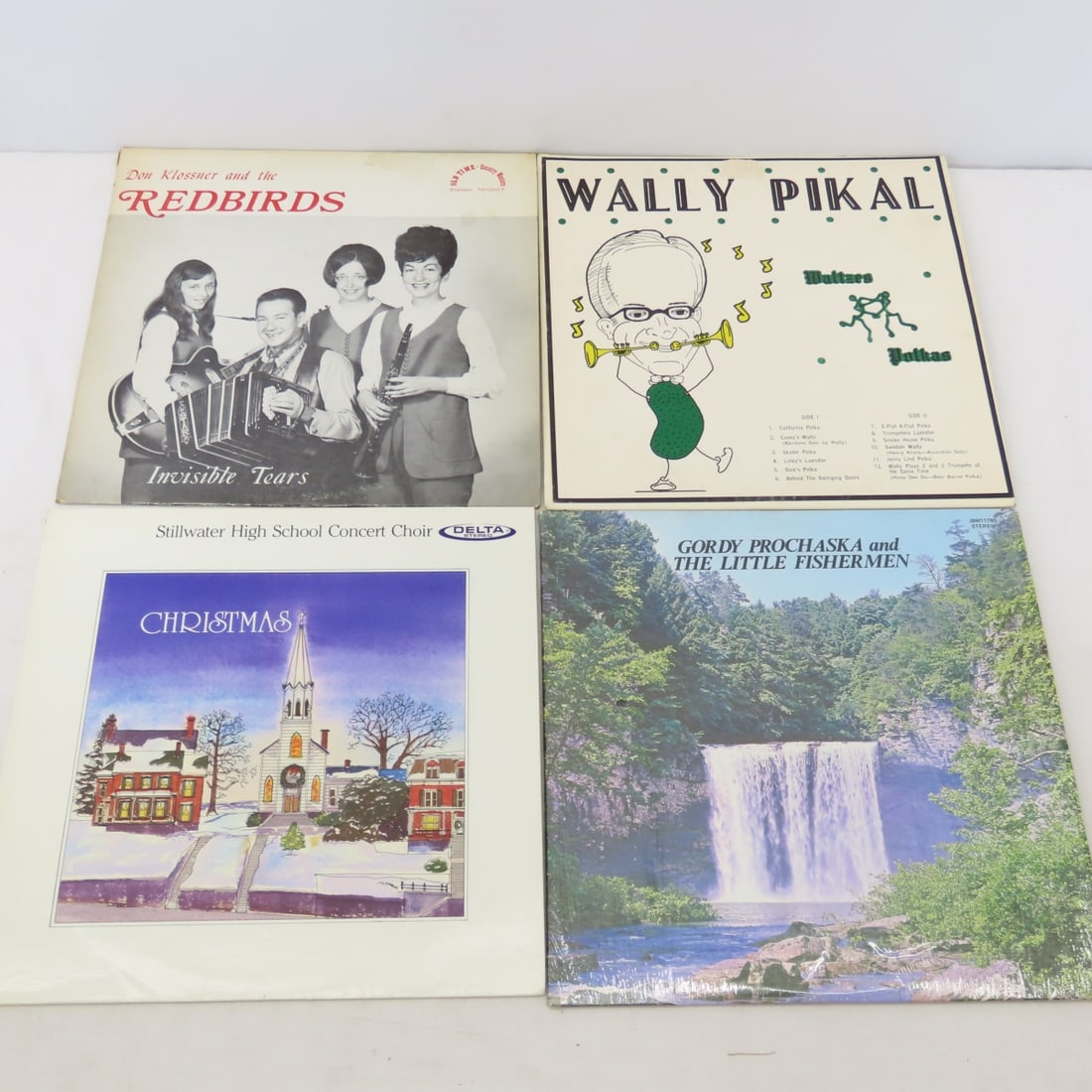 20+ 33 rpm Polka & MN Locally Recorded Albums - 17