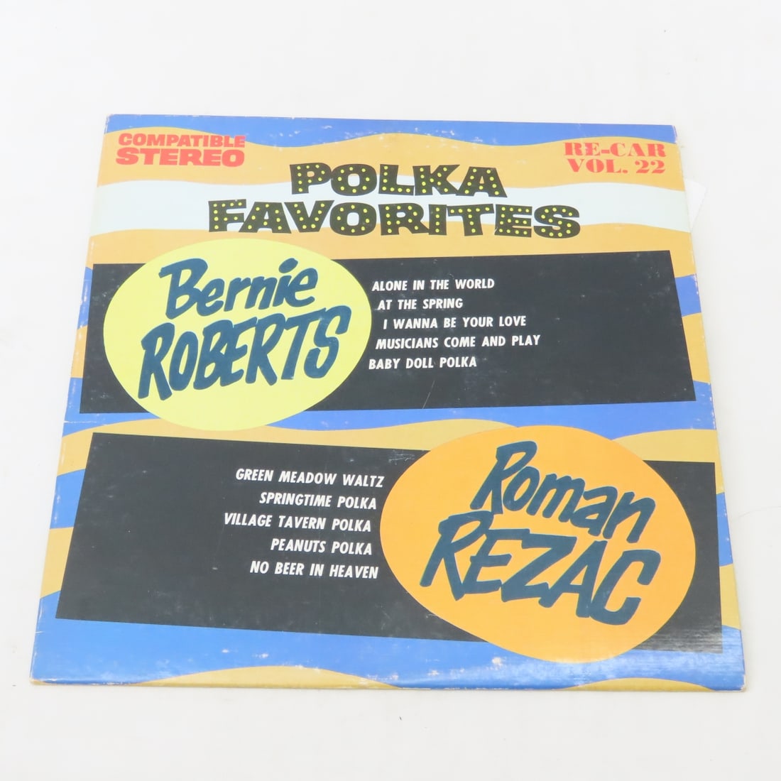 20+ 33 rpm Polka & MN Locally Recorded Albums - 19