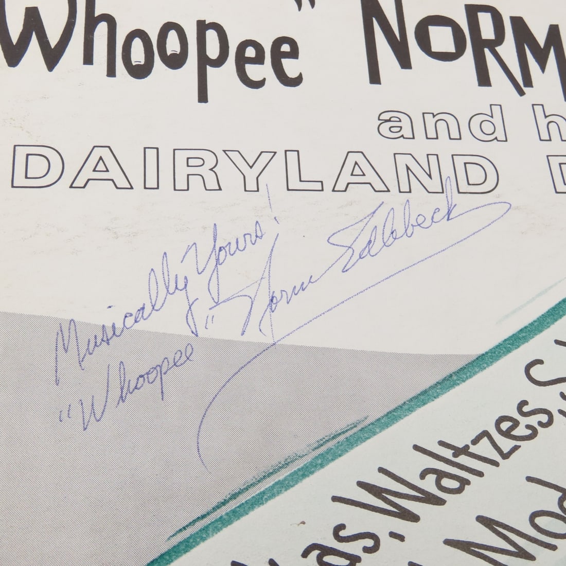 20+ 33 rpm Polka & MN Locally Recorded Albums - 9