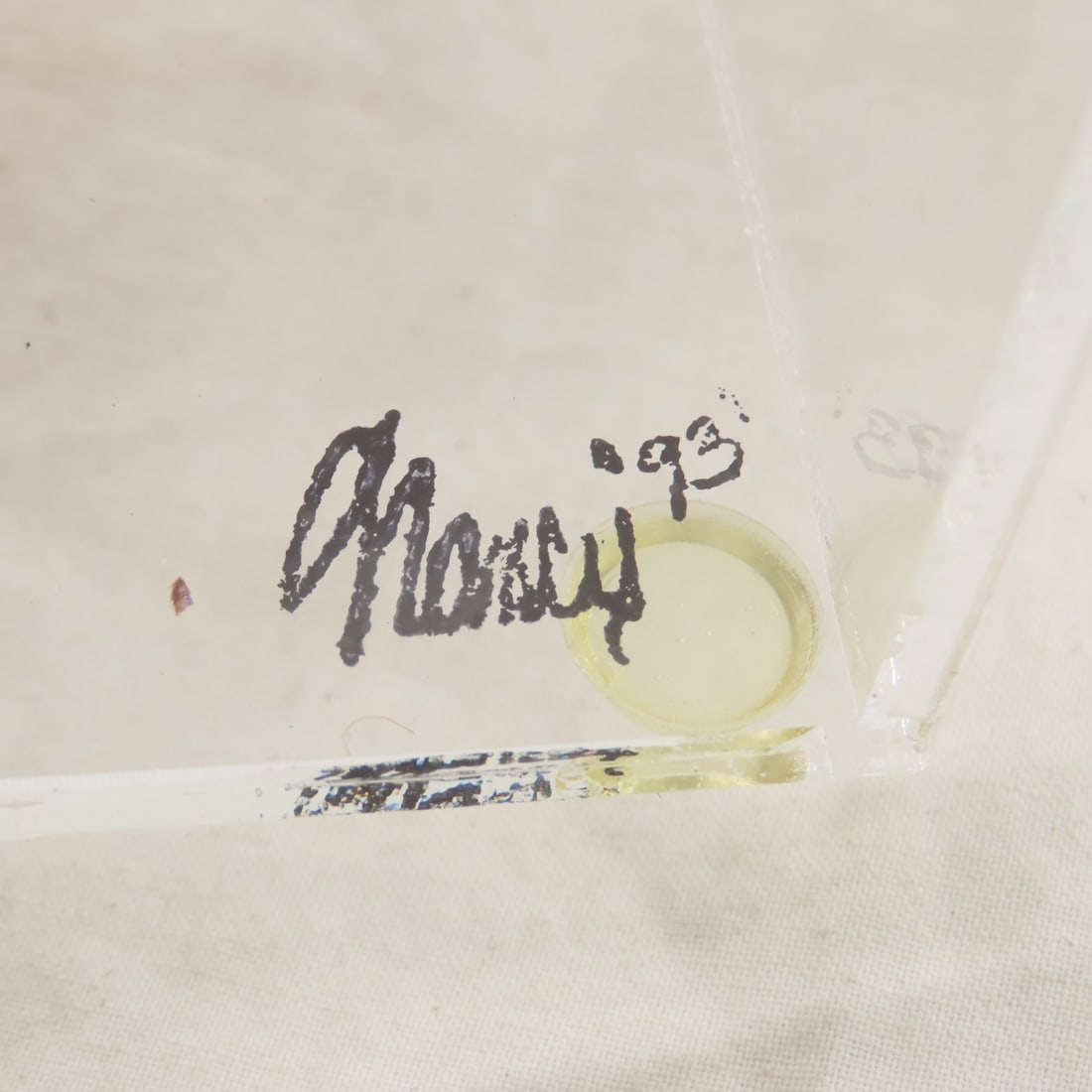 Mounted Butterfly Specimens in Acrylic Cases - 16