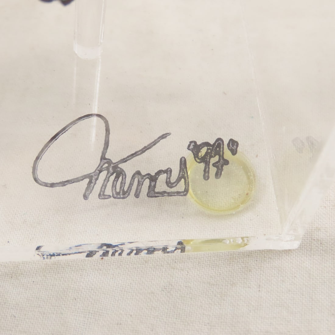 Mounted Butterfly Specimens in Acrylic Cases - 17