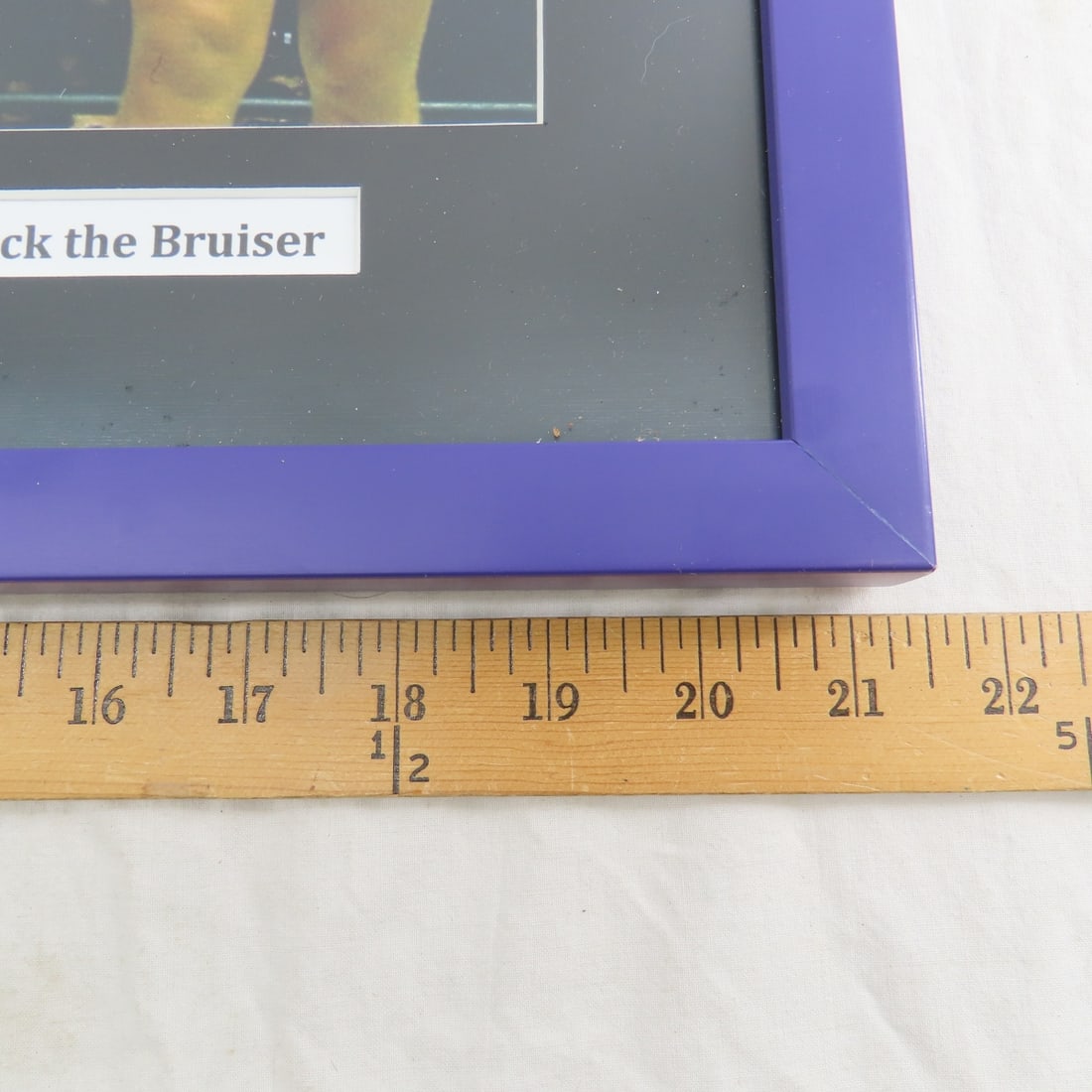 Larry Hennig, Crusher, Bruiser Framed Memorabilia - 6