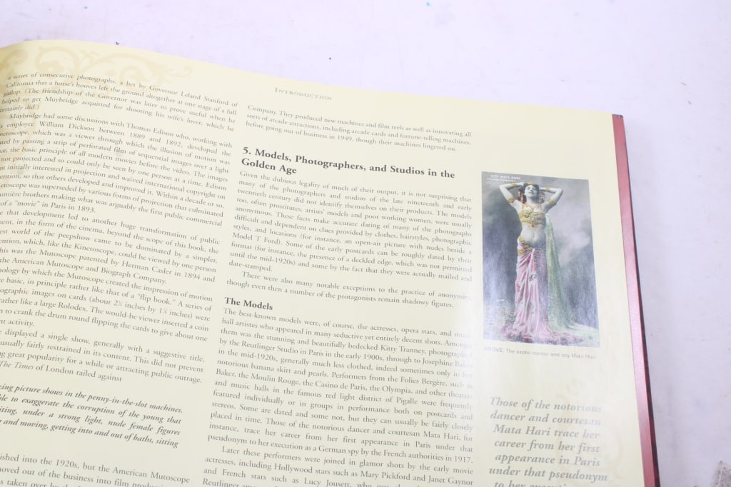 Peep Show Pinups & The Art of Walter Girotto Books - 9