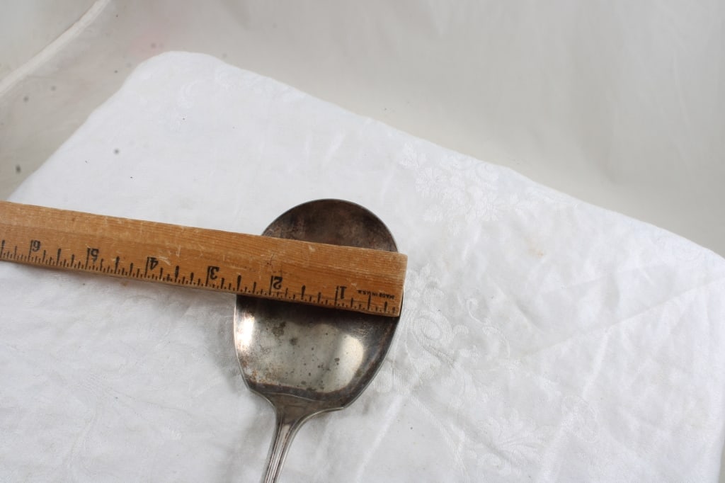 Sterling Ferrule Mother of Pearl Spoon 66 Grams - 8