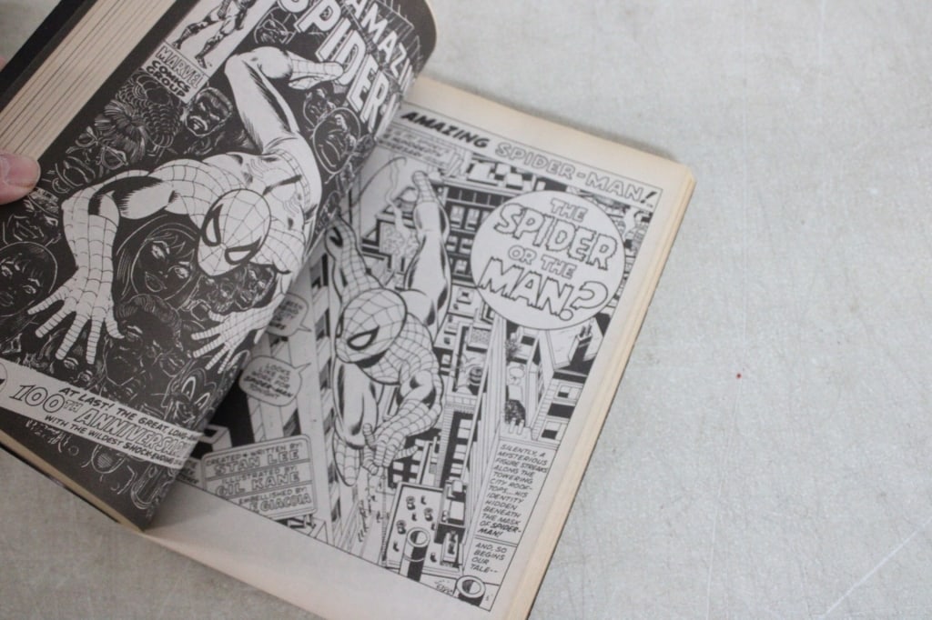 2 Marvel Essential Spider-Man Comics - 16