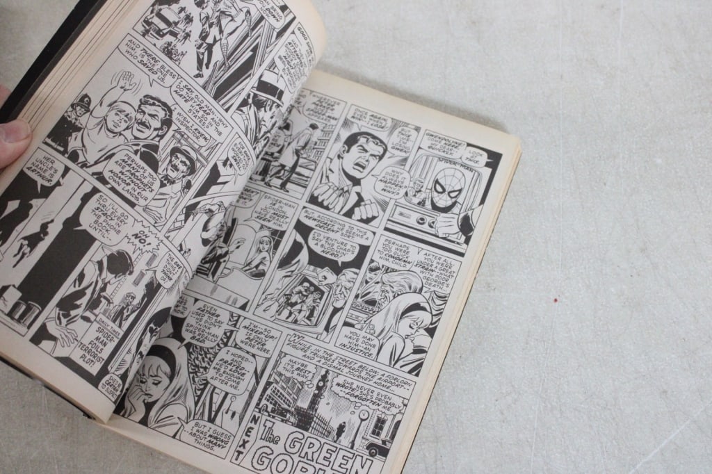 2 Marvel Essential Spider-Man Comics - 17