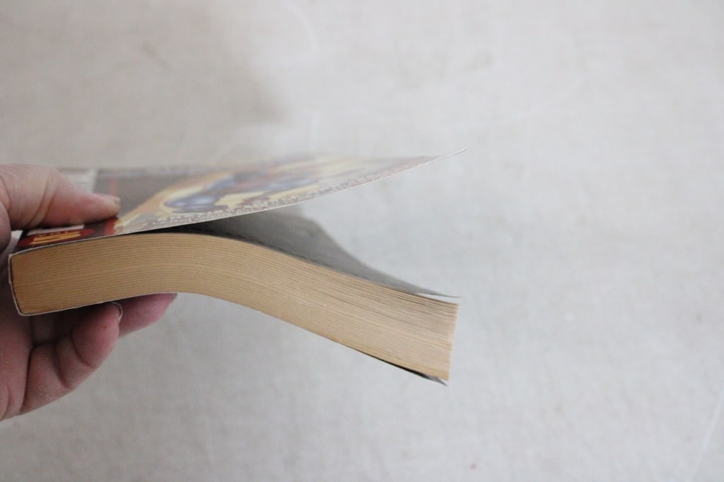 2 Marvel Essential Spider-Man Comics - 19