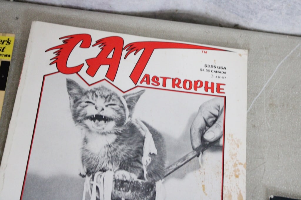 9 Magazines 1980's & 1990's Some Pin-Ups - 12