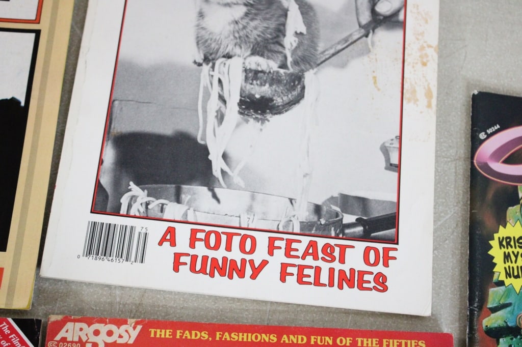 9 Magazines 1980's & 1990's Some Pin-Ups - 13