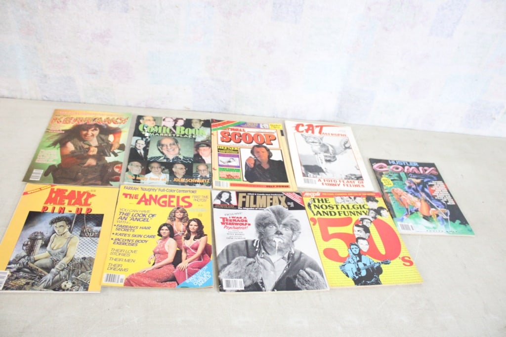9 Magazines 1980's & 1990's Some Pin-Ups: 9 Magazines 1980's & 1990's Some Pin-Ups - Catastrophe, Argosy, National Scoop, Comic Book Marketplace, The Angels (Charlies), Filmfax, Kerrang, Hustler Comics, Heavy Metal Pin-Up. Lot Size 8"