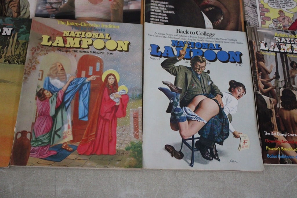 16 National Lampoon Magazines 1970's - 3