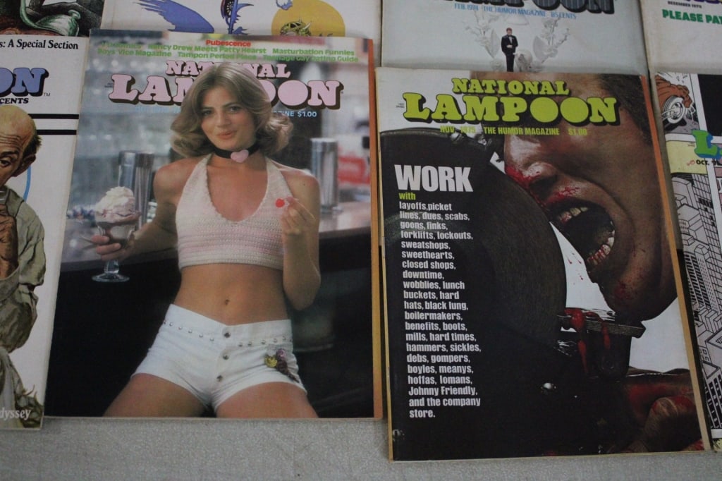 16 National Lampoon Magazines 1970's - 6